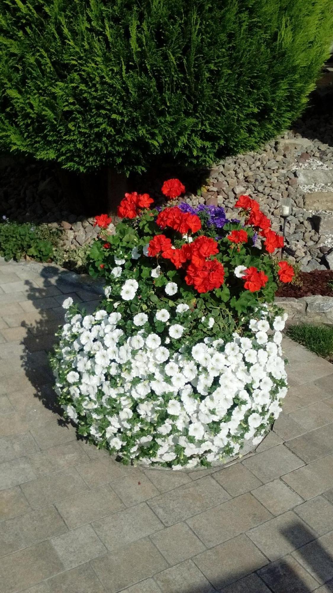 Ferienwohnung Seegarten Waldbuttelbrunn Екстериор снимка